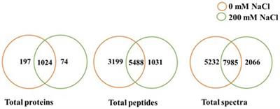 Effect of NaCl stress on exoproteome profiles of Bacillus amyloliquefaciens EB2003A and Lactobacillus helveticus EL2006H